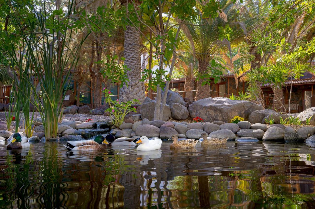 Redondo De Guayedra Guest House Ngoại thất bức ảnh
