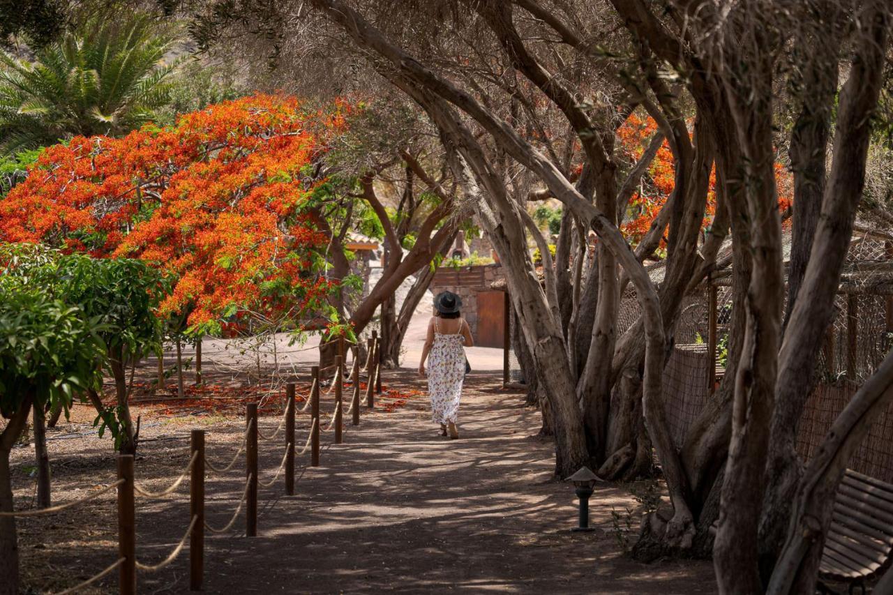 Redondo De Guayedra Guest House Ngoại thất bức ảnh